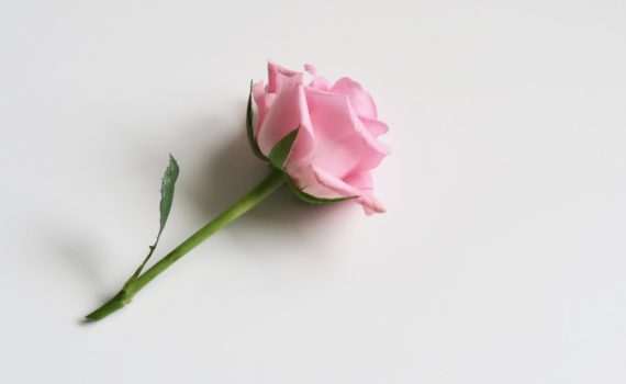 ROSE HAMMAM